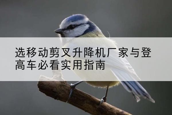 嵩明电动升降机厂家-选移动剪叉升降机厂家与登高车必看实用指南