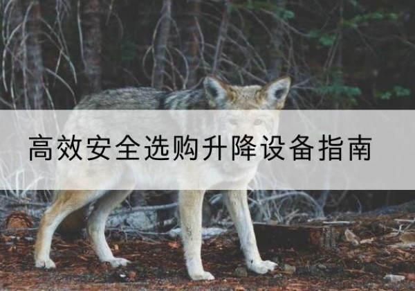 嵩明升降货梯厂家推荐-*安全选购升降设备指南