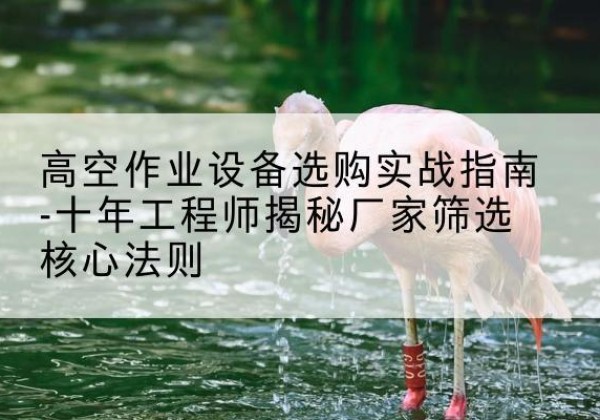 嵩明剪叉式升降机厂家-高空作业设备选购实战指南-十年工程师揭秘厂家筛选核心法则